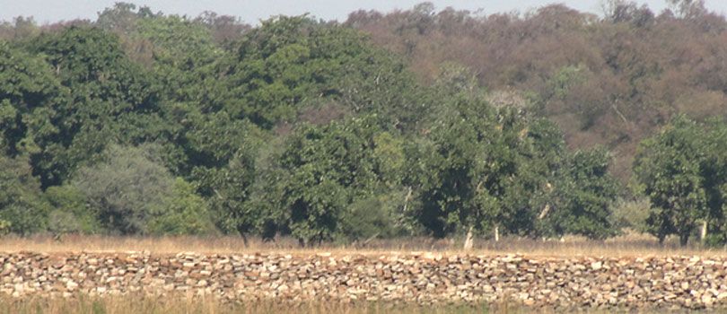 Madhav National Park