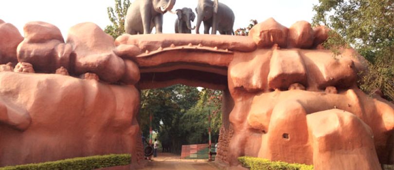 Chandaka Elephant Reserve