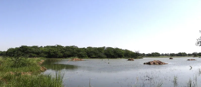 Sultanpur National Park