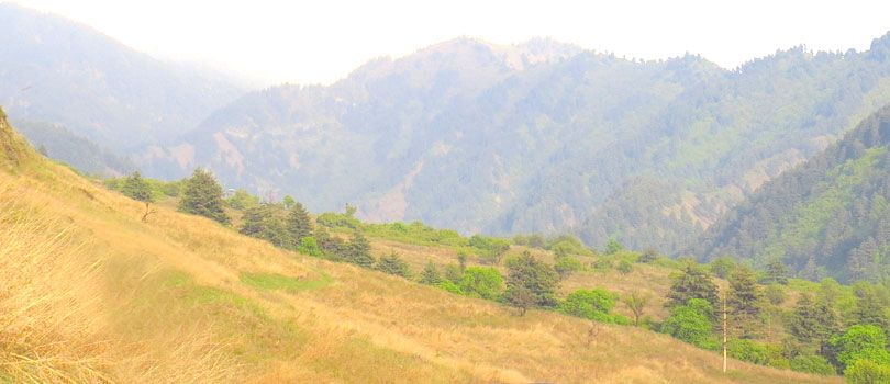 Dachigam National Park