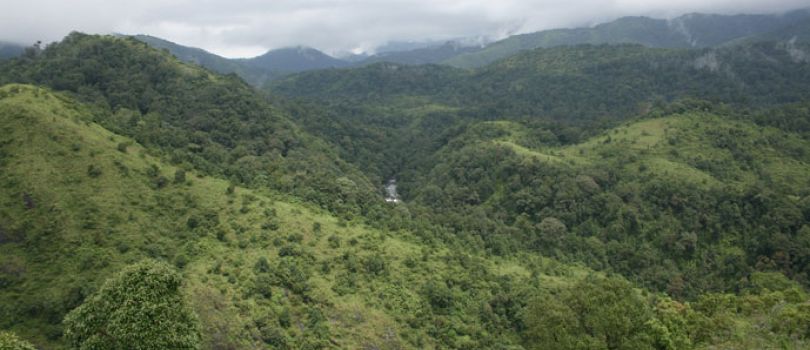 Silent Valley National Park