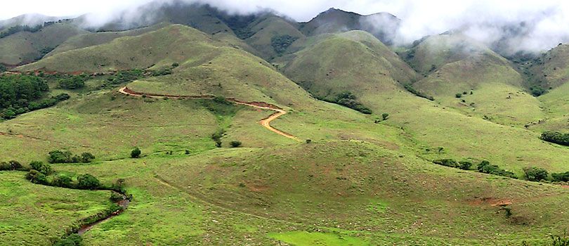 Mukurthi National Park