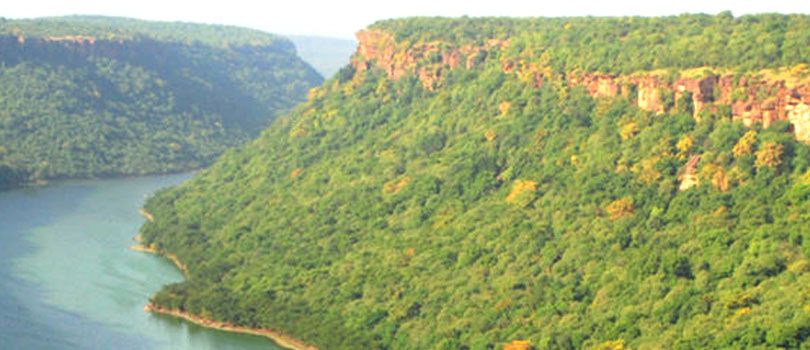 Darrah Wildlife Sanctuary