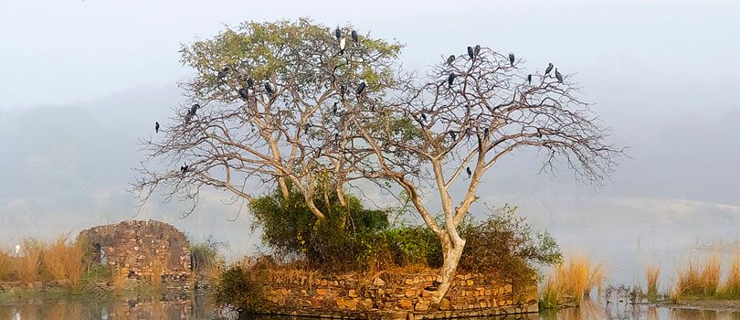 Ranthambore Wildlife Sanctuary