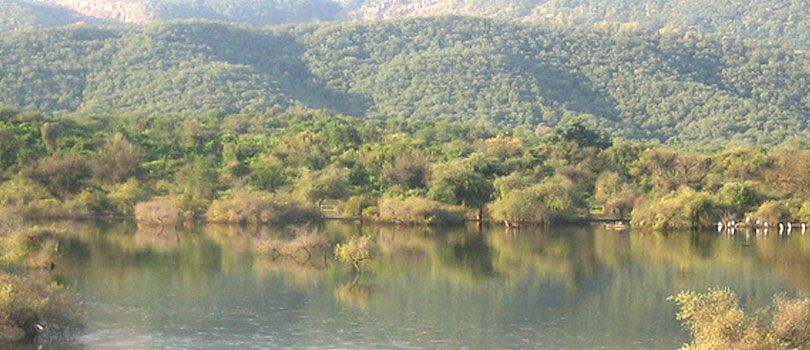 Sariska Wildlife Sanctuary
