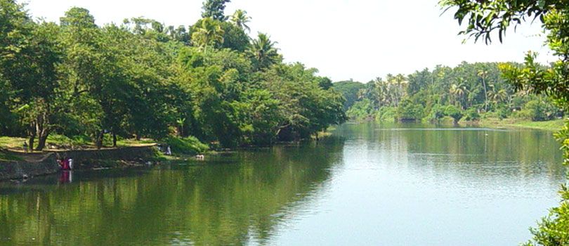 Kottayam Wildlife Sanctuary