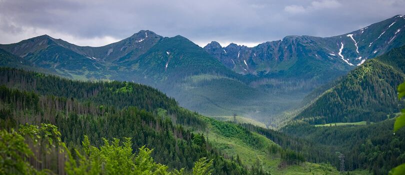 Kane Wildlife Sanctuary