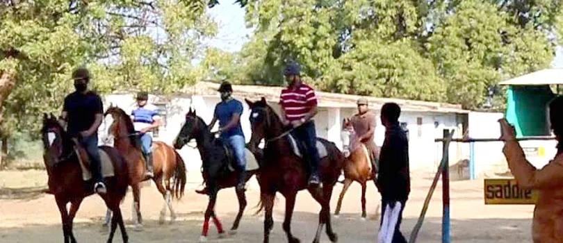 Horse Safari in Ahmedabad