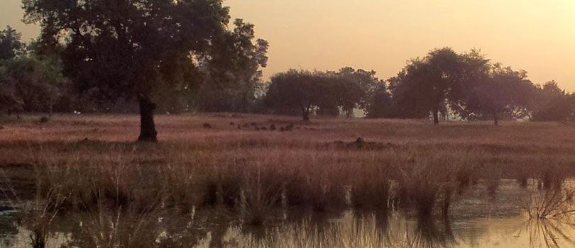 Pachmarhi National Park