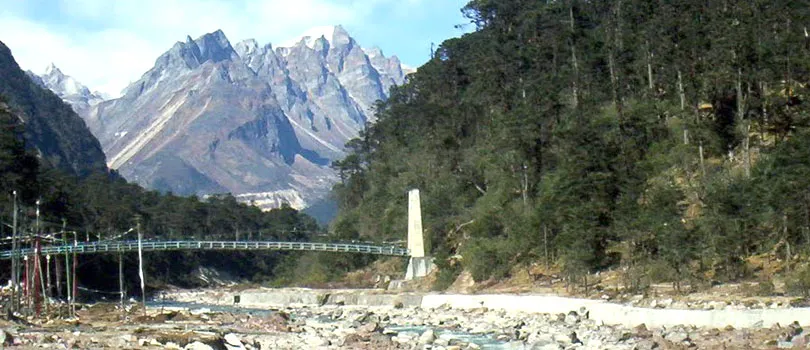 Singba Rhododendron Sanctuary