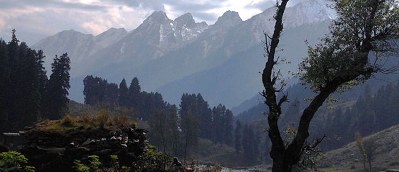 Overa Wildlife Sanctuary