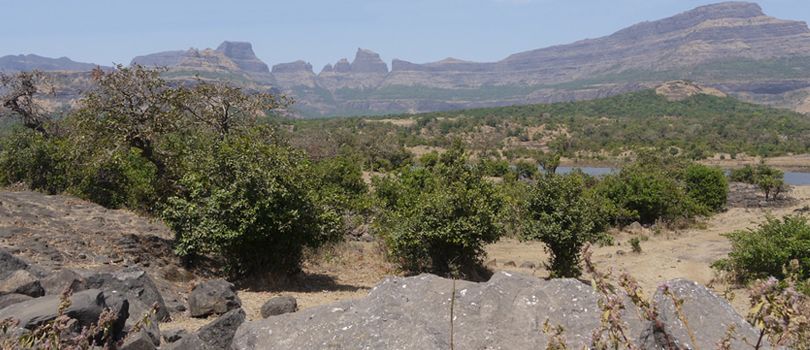 Kalsubai Harishchandragad Wildlife Sanctuary
