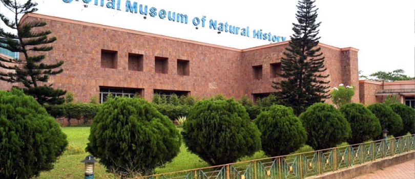 Regional Museum of Natural History