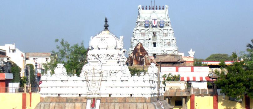 Parthasarathy Temple