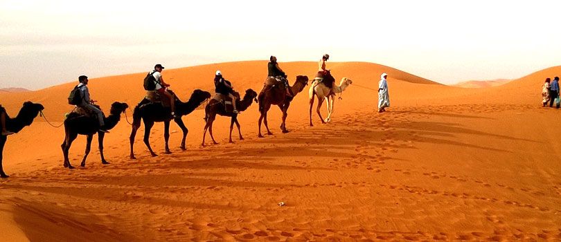 Camel Safari In Bikaner