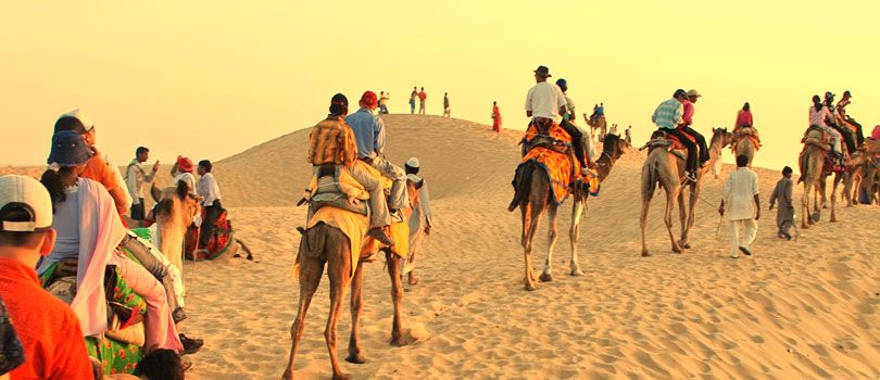 Camel Safari In Pushkar