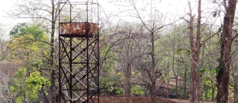 Yawal Wildlife Sanctuary