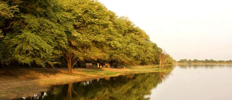 Thol Wildlife Sanctuary