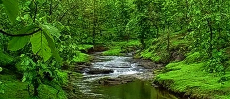 Tansa Wildlife Sanctuary