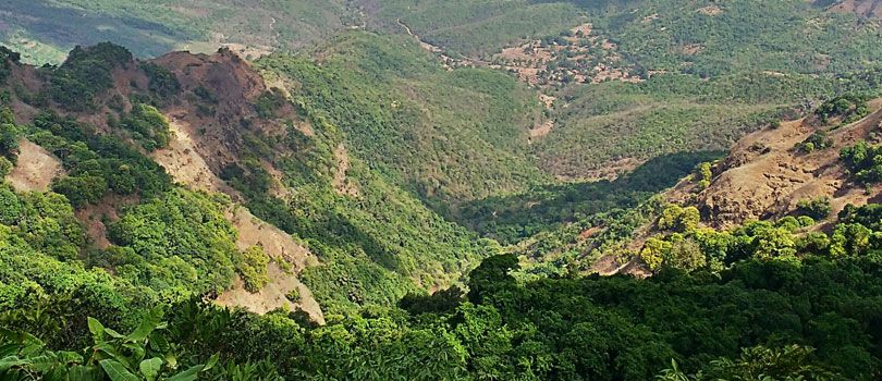 Radhanagari Wildlife Sanctuary