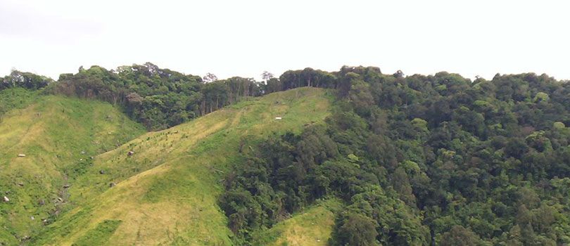 Nokrek Biosphere Reserve