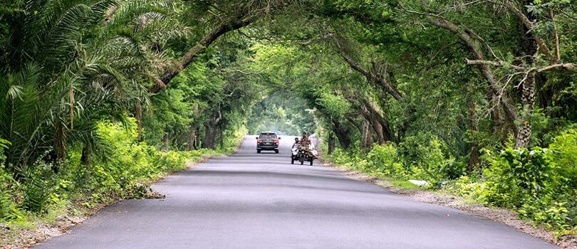 Bura-Chapori Wildlife Sanctuary