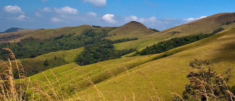 Kemmanagundi Hills