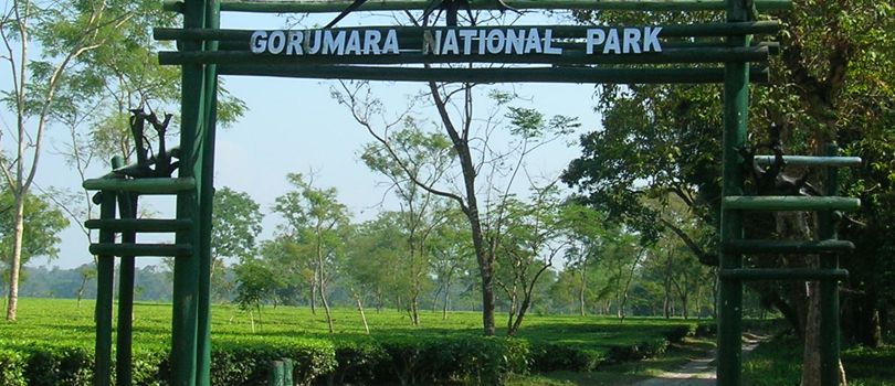 Gorumara National Park