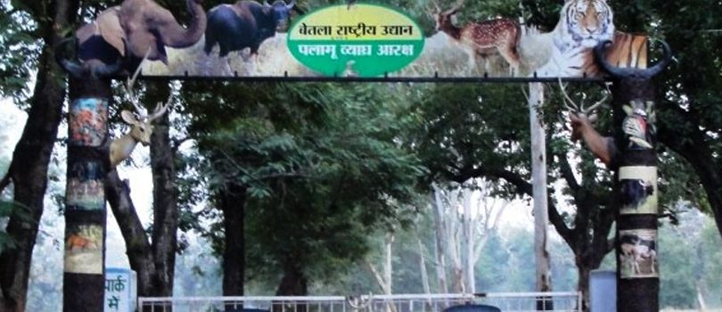 Betla National Park