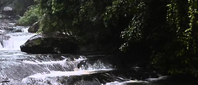 Palaruvi Waterfalls