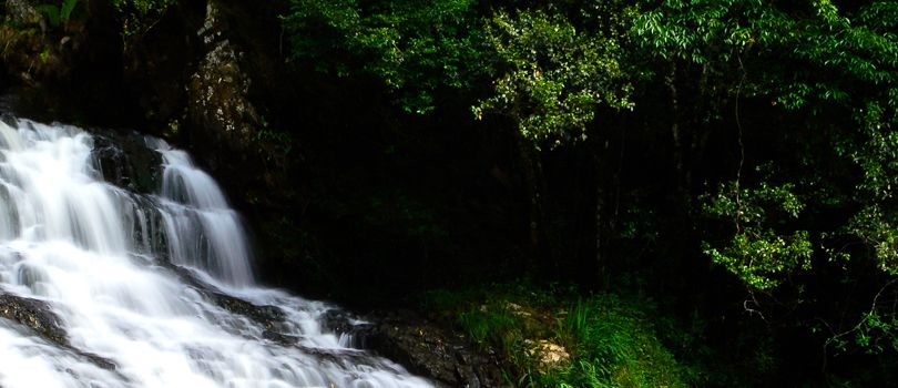 Crinoline WaterFalls