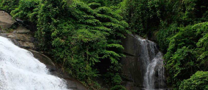 Thusharagiri Waterfalls