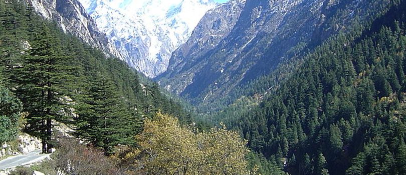 Gangotri Hills
