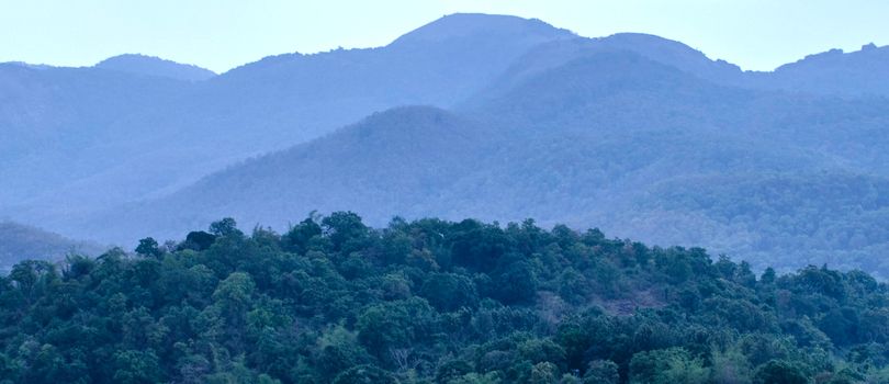 Biligirirangana Betta Hills