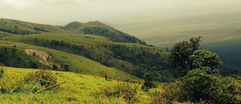 Gopalaswamy Betta Hills