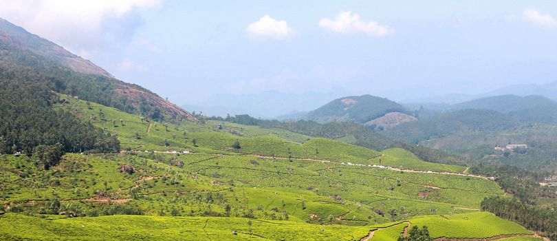 Devikulam Hills