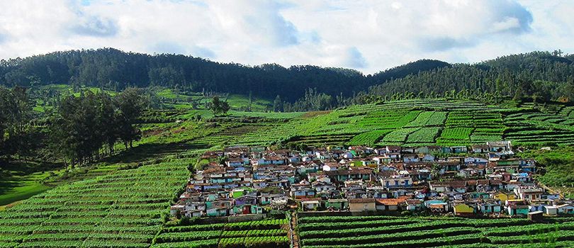 Ooty Hills