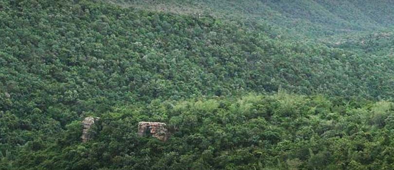 Sri Venkateswara National Park