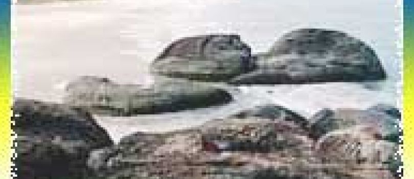 Mangalore Udupi Murudeshwar Gokarna 04 night 05 days from Bangalore