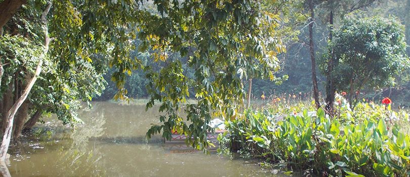 Hazaribagh National Park