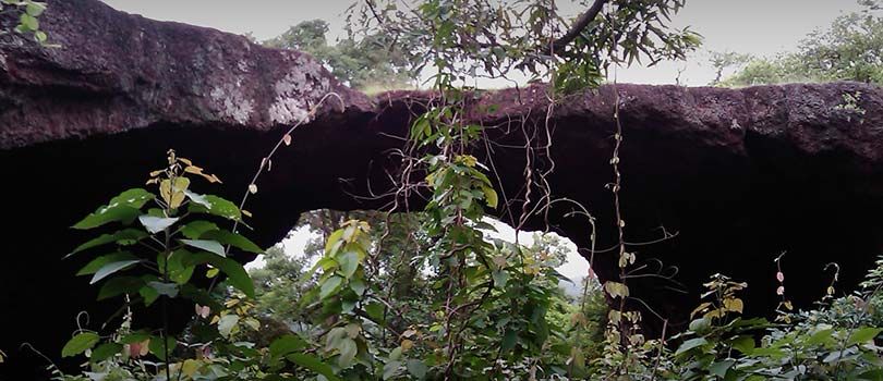 Trekking in Gandhamardan Hill