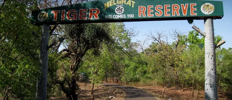Melghat Tiger Reserve