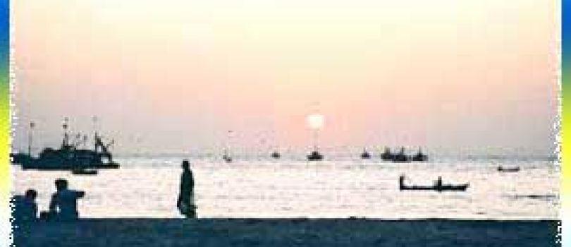 Malvan Package