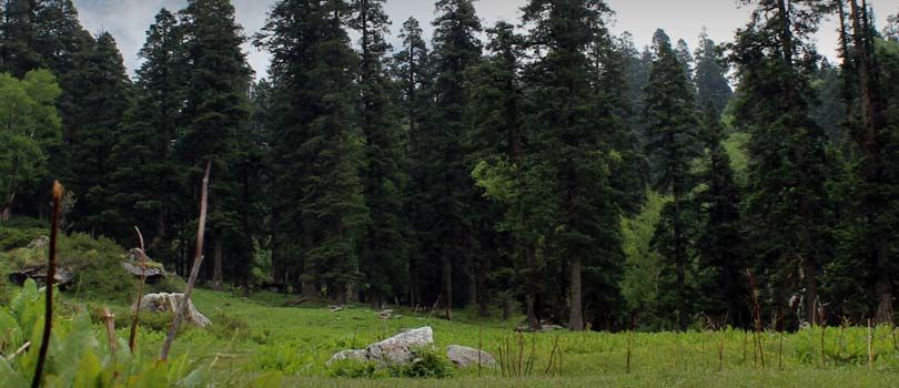 Govind Wildlife Sanctuary