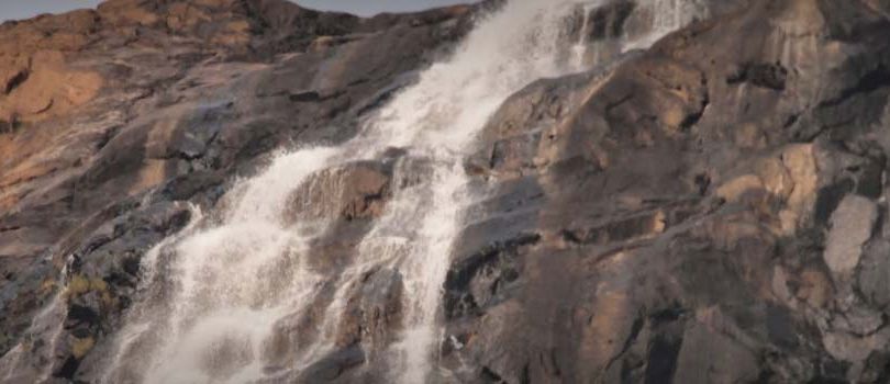 Bhagwan Mahavir Wildlife Sanctuary