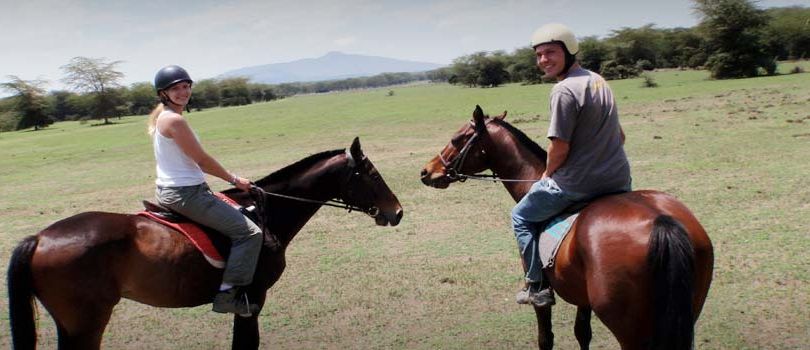 Horse Safari in Bangalore