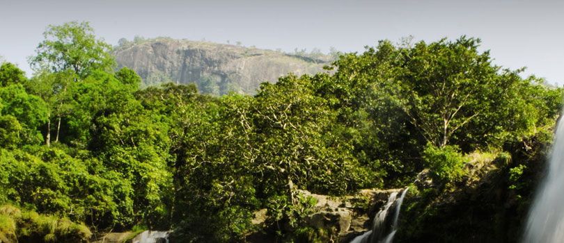 Nyayamakad Waterfall