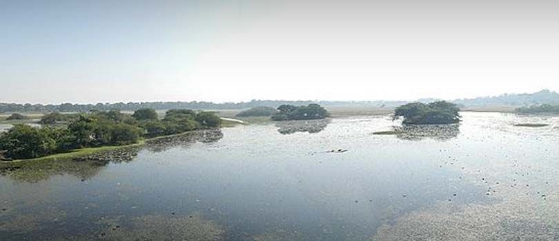 Nawabganj Bird Sanctuary
