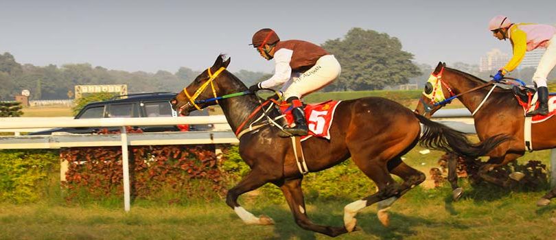 Royal Calcutta Turf Club