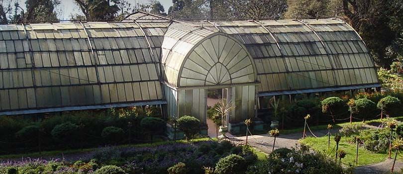 Lloyd's Botanical Garden